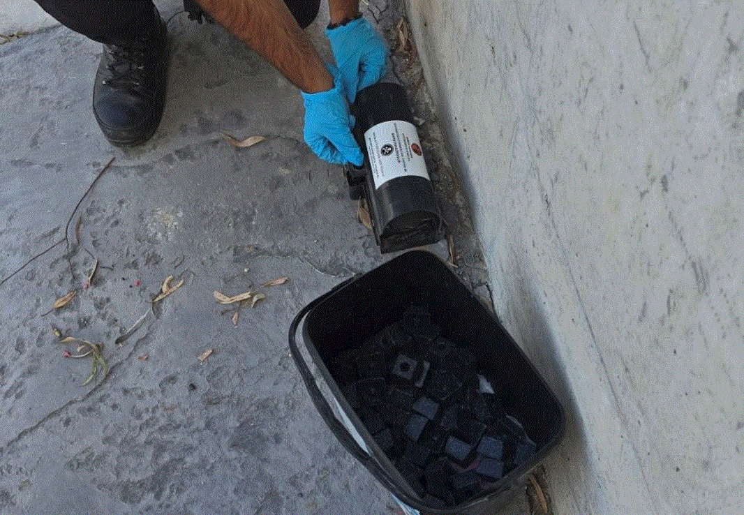Ο Δήμος Λάρνακας έχει αρχίσει εκστρατεία καταπολέμησης των τρωκτικών