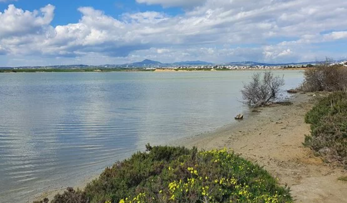 Aλυκές Λάρνακας: Συζητήθηκε αποκοπή πρόσβασης από εμπλεκόμενους φορείς