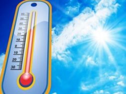 065de76a79e81cf8df65f9d4aff760d8