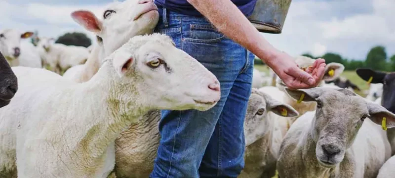 128d75054248d5c2ae004221bca324ac_L