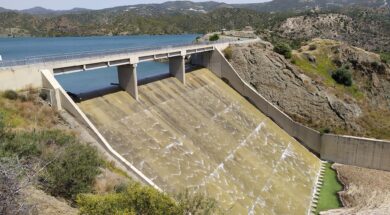 269740646_4833831990030440_855334415451094734_n