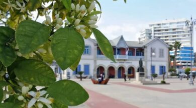 29135908_187808828496818_2709744566044964880_n