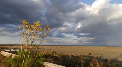 298c5361-f06a-44e3-bb4d-4cc35eb5a153