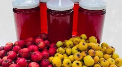 308915011_636385998164785_4391311493319241312.width-1920