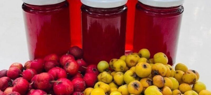 308915011_636385998164785_4391311493319241312.width-1920