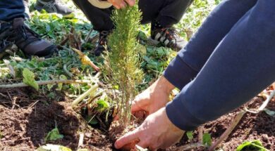 432598317-1631726074252775-4736570531568225453-n-e1711281517285