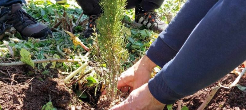 432598317-1631726074252775-4736570531568225453-n-e1711281517285