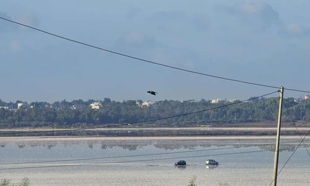 5.000 ευρώ το κόστος για τα αυτοκίνητα που παγιδεύτηκαν στην Αλυκή