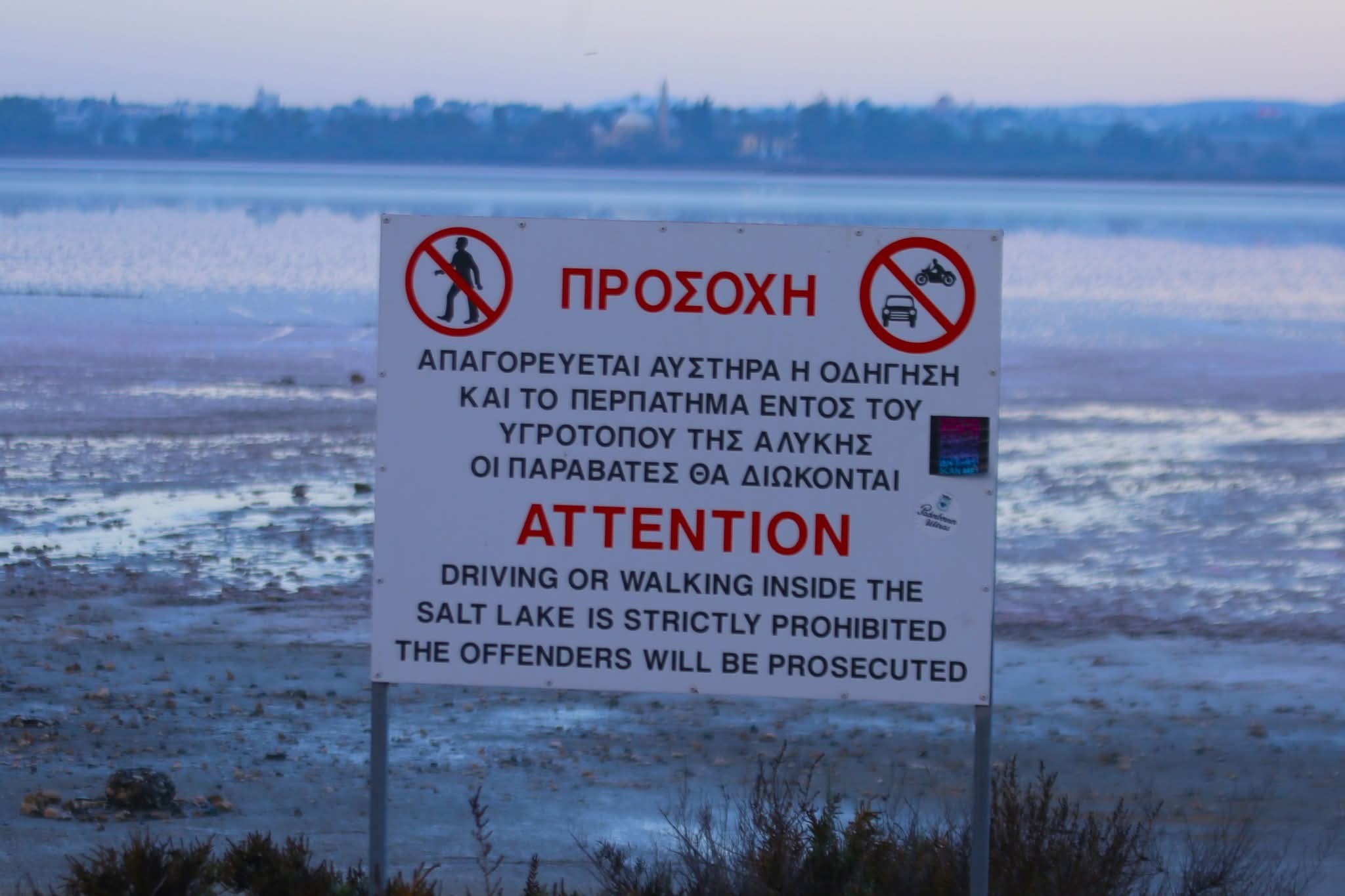 Δήμος Λάρνακας: Καταδικαστέο το περιστατικό οδήγησης οχημάτων εντός της Αλυκής Λάρνακας Δήμος Λάρνακας: Καταδικαστέο το περιστατικό οδήγησης οχημάτων εντός της Αλυκής Λάρνακας