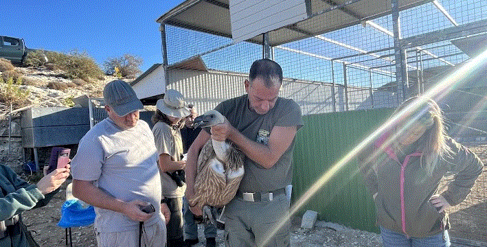 561136439_1321880229974784_3053427760233306207_n