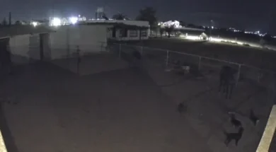 567567567567675567567567-thumb