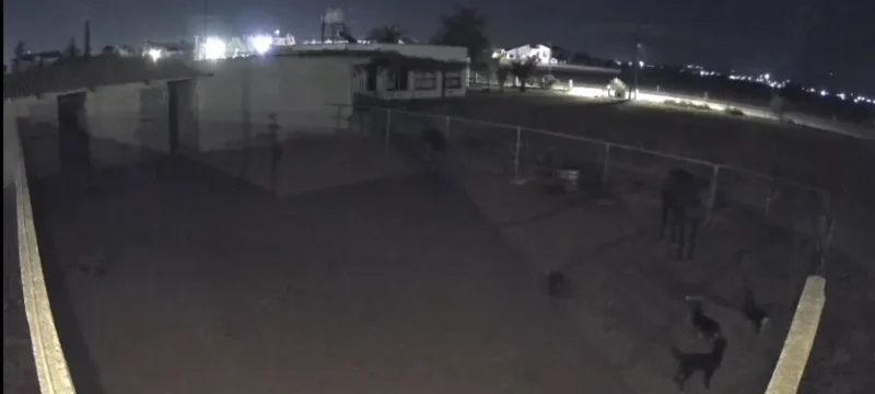 567567567567675567567567-thumb