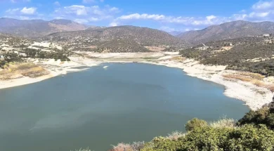 573593289_10239384325167127_5691755082135757993_n-thumb