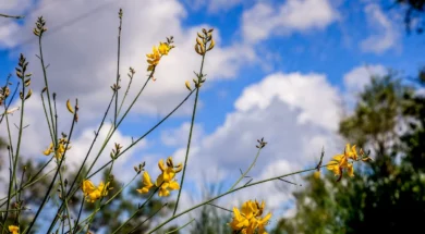 60bc57930cede063de7278ab053e006d_XL