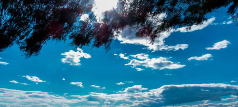 6f5997c28fa78277b65f981d49faedec_XL