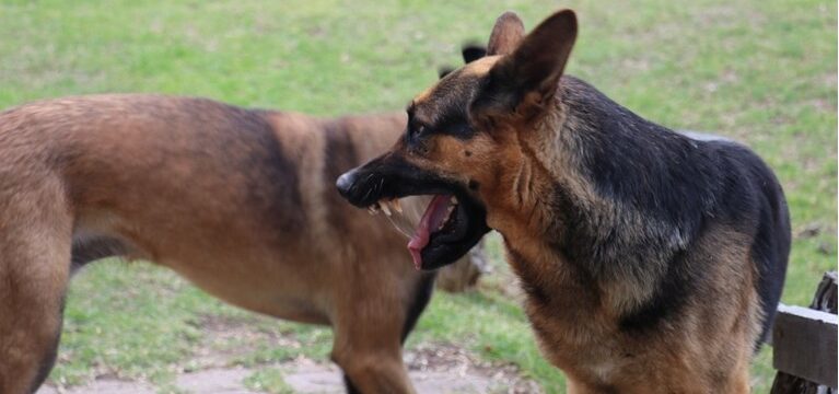 84f6b43af2ea432e9afb92ccb8bd8546