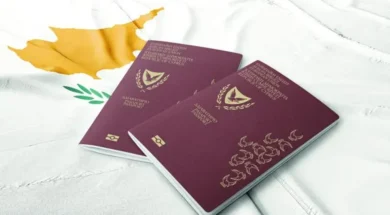 867644_large_thumbnail-thumb