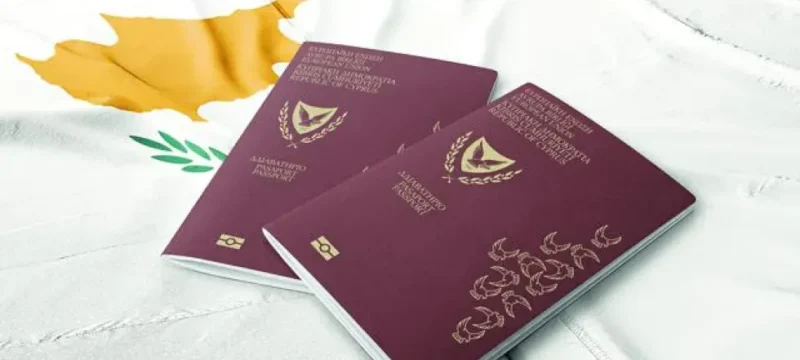 867644_large_thumbnail-thumb