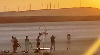 8dd4b5d4-3e68-4c03-bf26-2366debccf7f