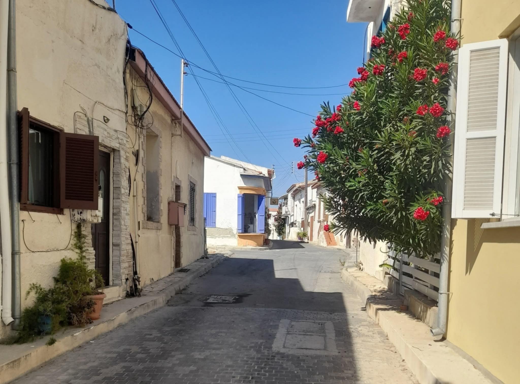 Η πρωινή ενημέρωση της ημέρας από τη Σκαλιώτισσα
