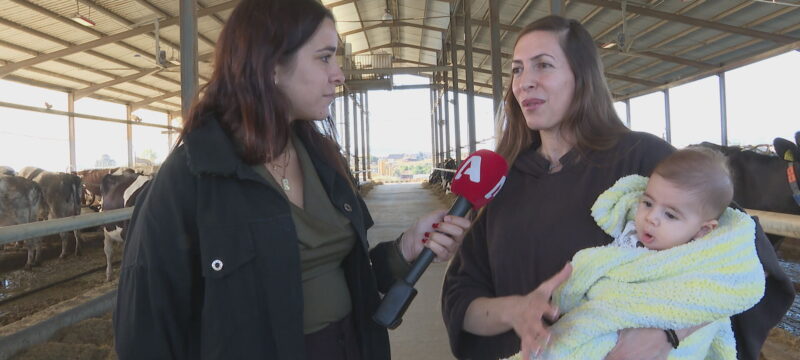 LIVE-U-ELENH-FANARI_frame_15875