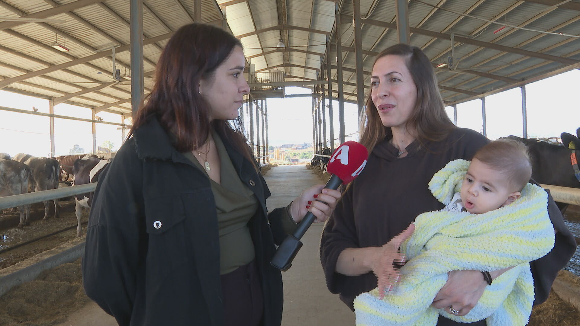 «Είναι η ηρεμία της ζωής μου»: Η Άντρεα άφησε το ιατρείο κι έγινε κτηνοτρόφος (ΒΙΝΤΕΟ)