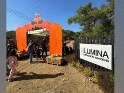 Lumina FallHalloween 1 Entrance