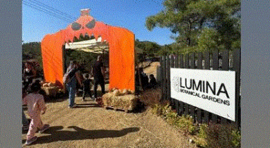 Lumina FallHalloween 1 Entrance