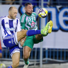 anorthosi-aris-bezus-koreia