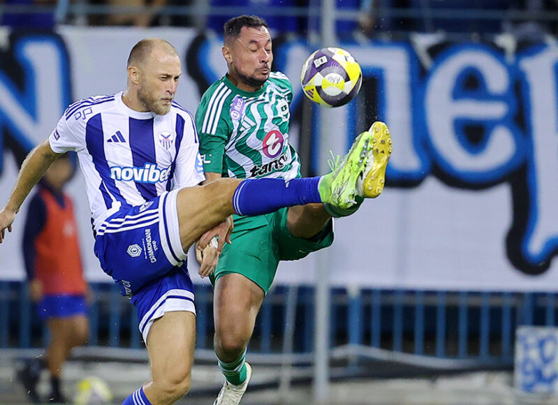 anorthosi-aris-bezus-koreia