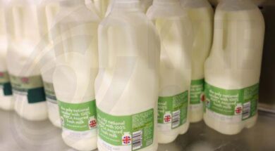 cache_780x1200_Analog_medium_9086996_239130740206911