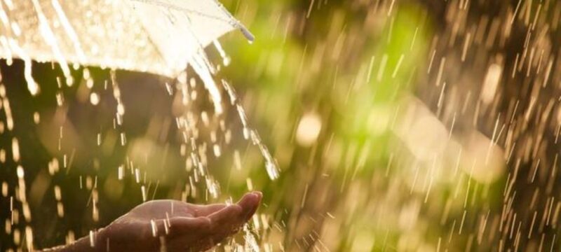 cache_980x637_Crop_medium_292326_95970_22_06_07_122548