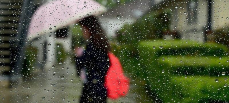 cache_980x637_Crop_medium_544780_2057585_22_10_31_062813