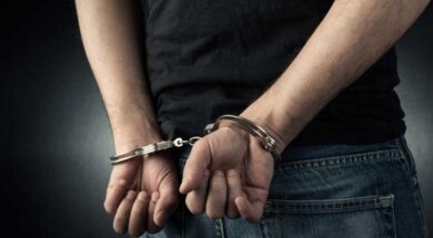 cheiropedes_syllepse