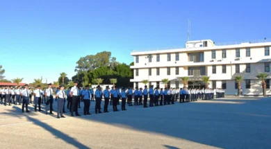 dsc_4074_1170x780-thumb