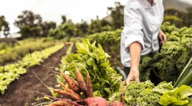 georgia1000width_750-thumb