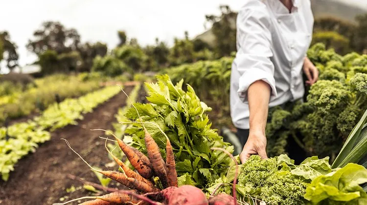 Στήριξη γεωργών λόγω ανομβρίας ζήτησε η Υπ.Γεωργίας στο Συμβούλιο Γεωργίας ΕΕ