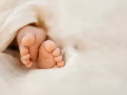 iStock-1455070461-666×399