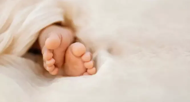 iStock-1455070461-666×399