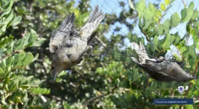 image_1577-thumb (1)