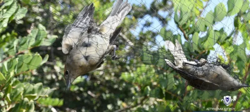 image_1577-thumb (2)