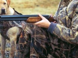 imagehandler.original