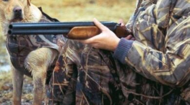 imagehandler.original