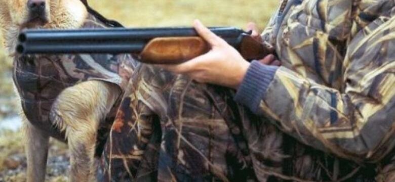 imagehandler.original