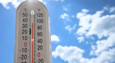 istockphoto_1414023106_612x612-thumb