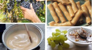 kentro-neothtas-potamitissasgiorth-toy-paloyze-moystolixoydiesjpg