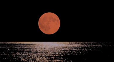 panselinos-kriti_856_514