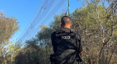 paranomi-pagidevsi-poulion