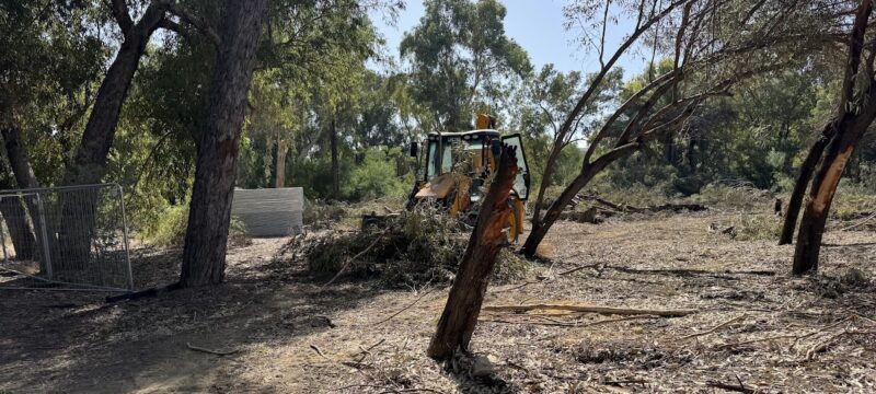 peykaeykaliptoiparkoakadimias