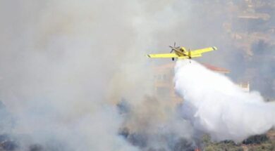 ptitika.2e16d0ba.fill-1200×630-1